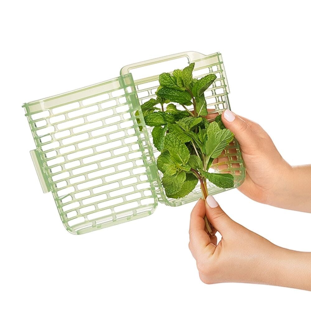GreenSaver Herb Keeper - Small K0