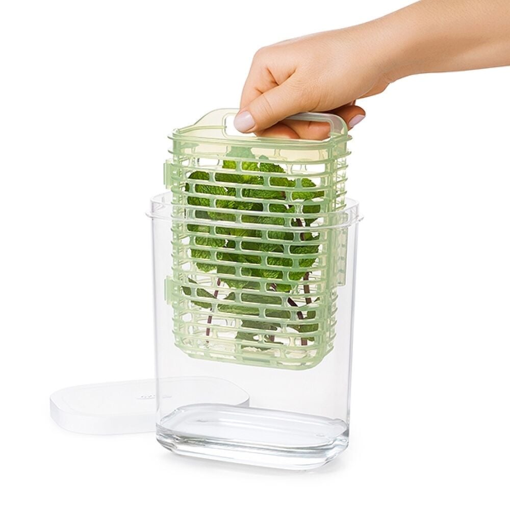 GreenSaver Herb Keeper - Small K0
