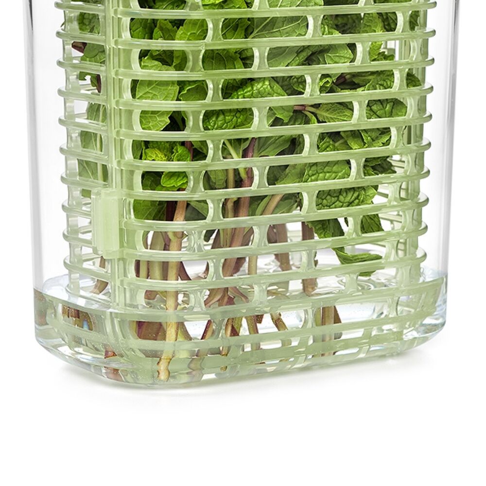 GreenSaver Herb Keeper - Small K0