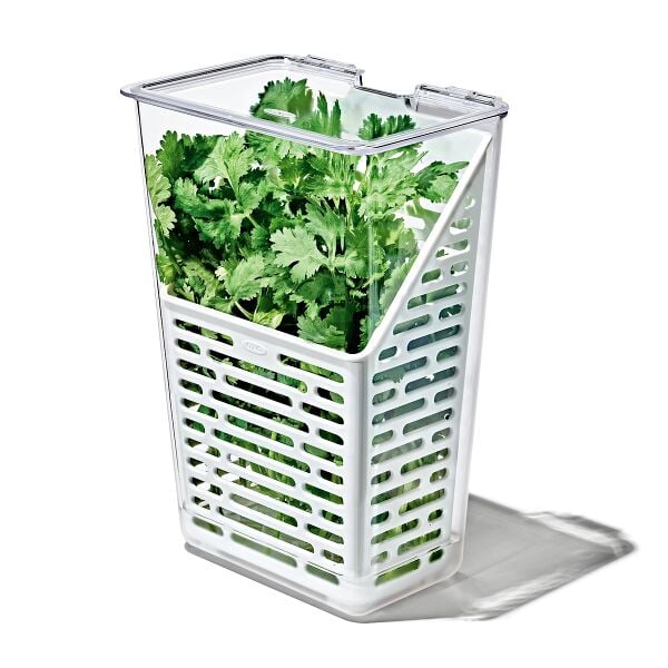 Produce Saver - Herb Keeper T4