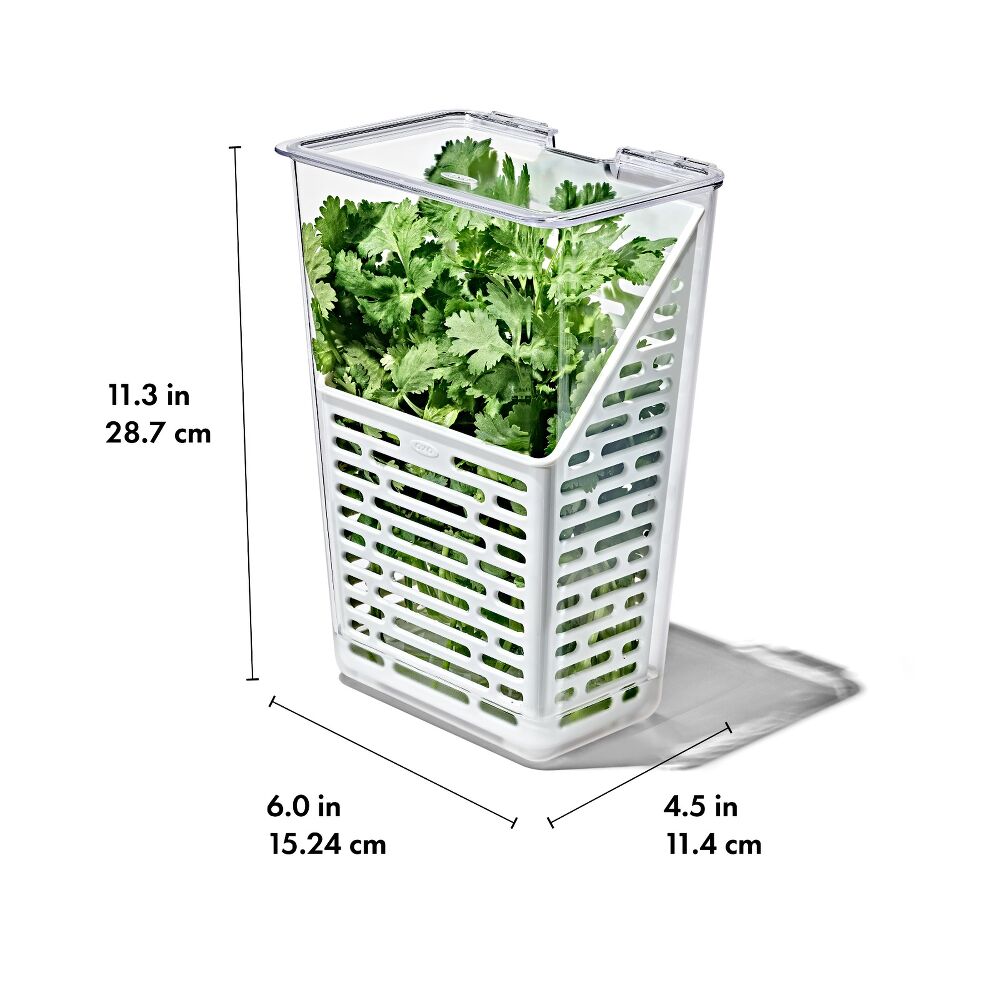 Produce Saver - Herb Keeper T4