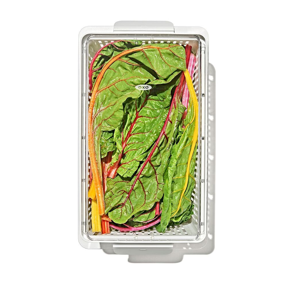 Produce Saver - Large Bin C6
