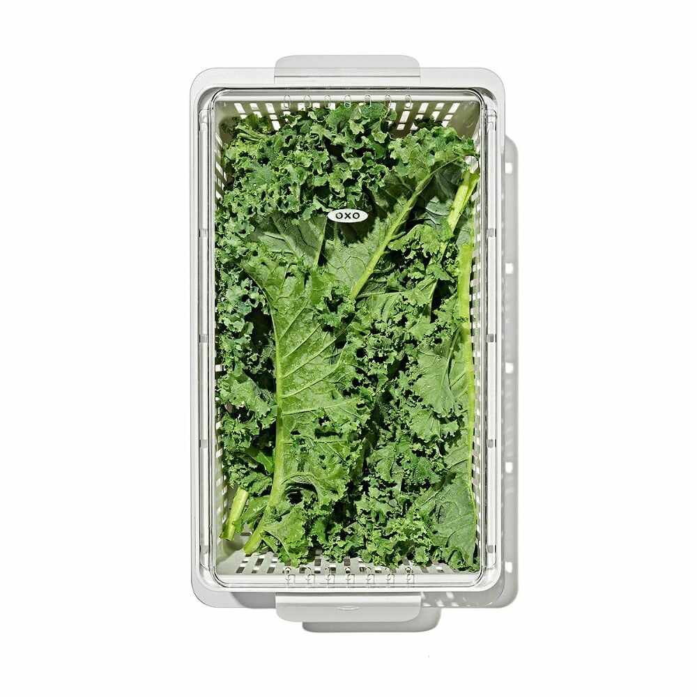 Produce Saver - Medium Bin U9