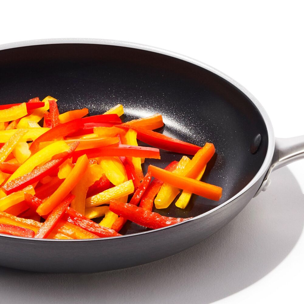 Non-Stick Pro Every Day 10 Inch Fry Pan V1