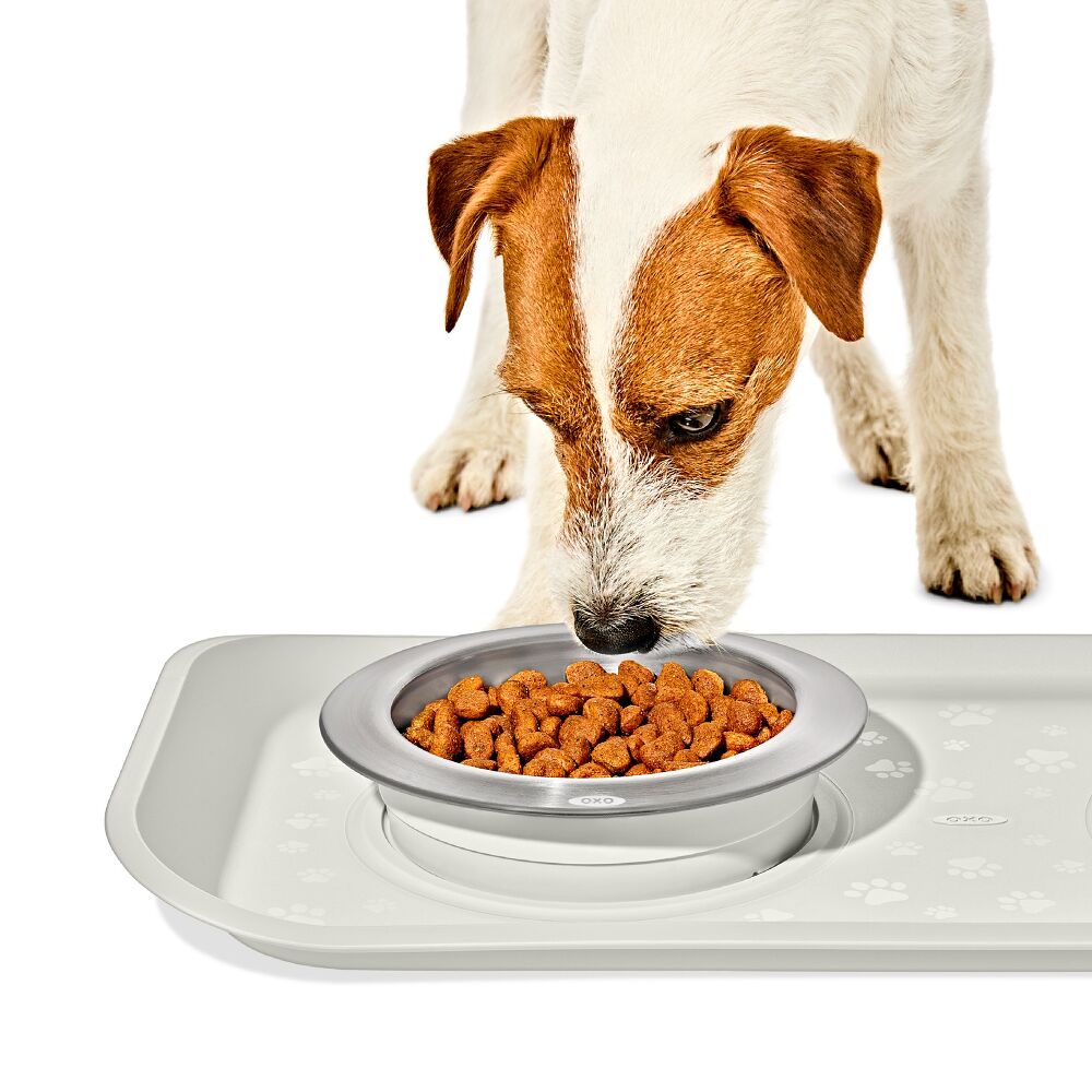 OXO Pet Nonslip Bowl - Small, 1 Cup / 240 mL N1