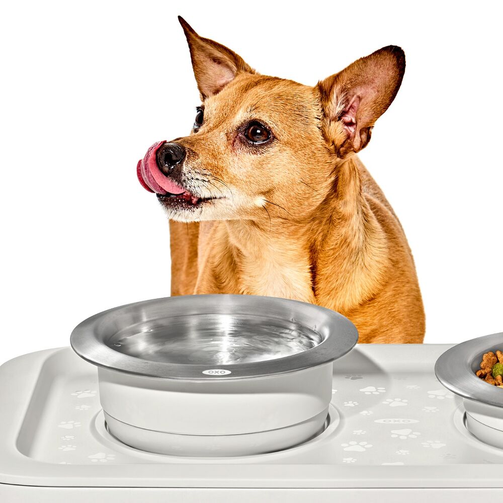 OXO Pet Nonslip Bowl - Medium, 2 Cups / 480 mL T3