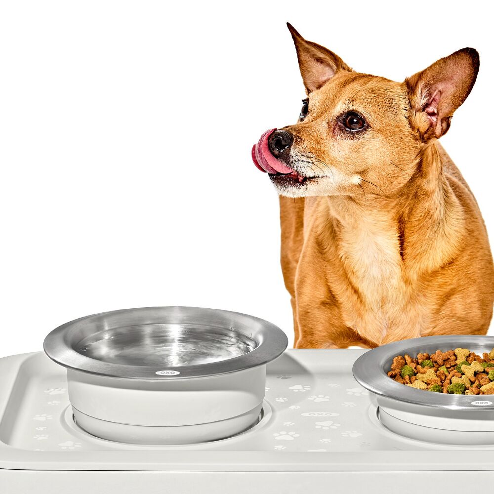OXO Pet Nonslip Bowl - Large, 4 Cups / 950 mL Z7