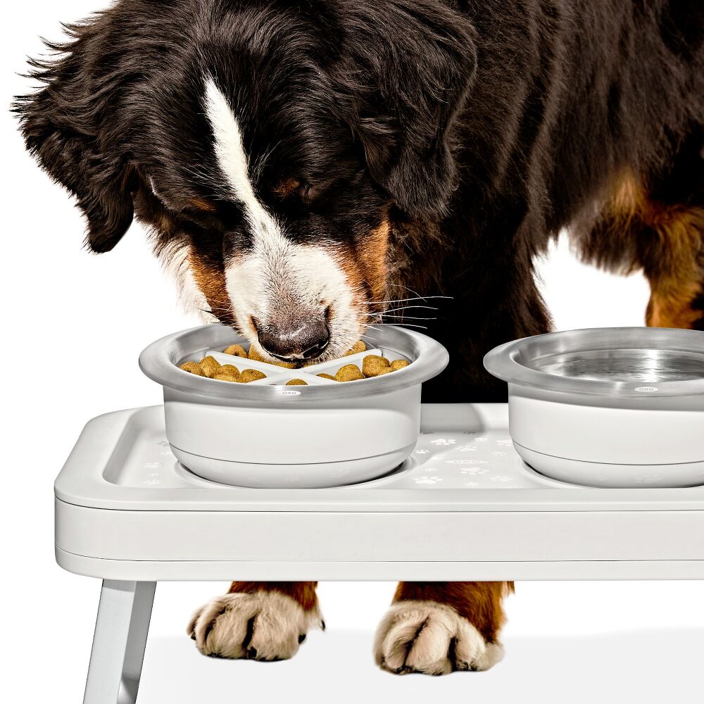 OXO Pet Easy-Clean Slow Feeder - Medium, 2 Cups/489 mL Q3