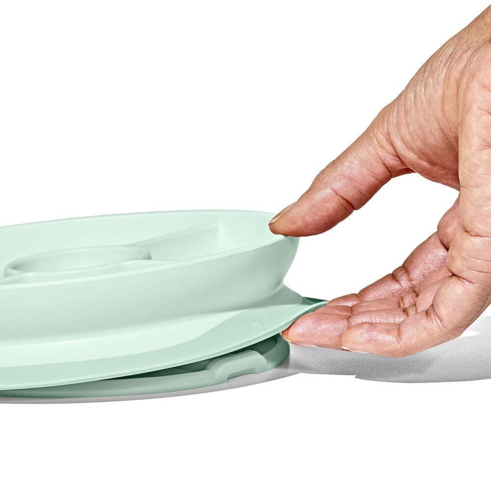 Stick & Stay Suction Divided Plate Q1