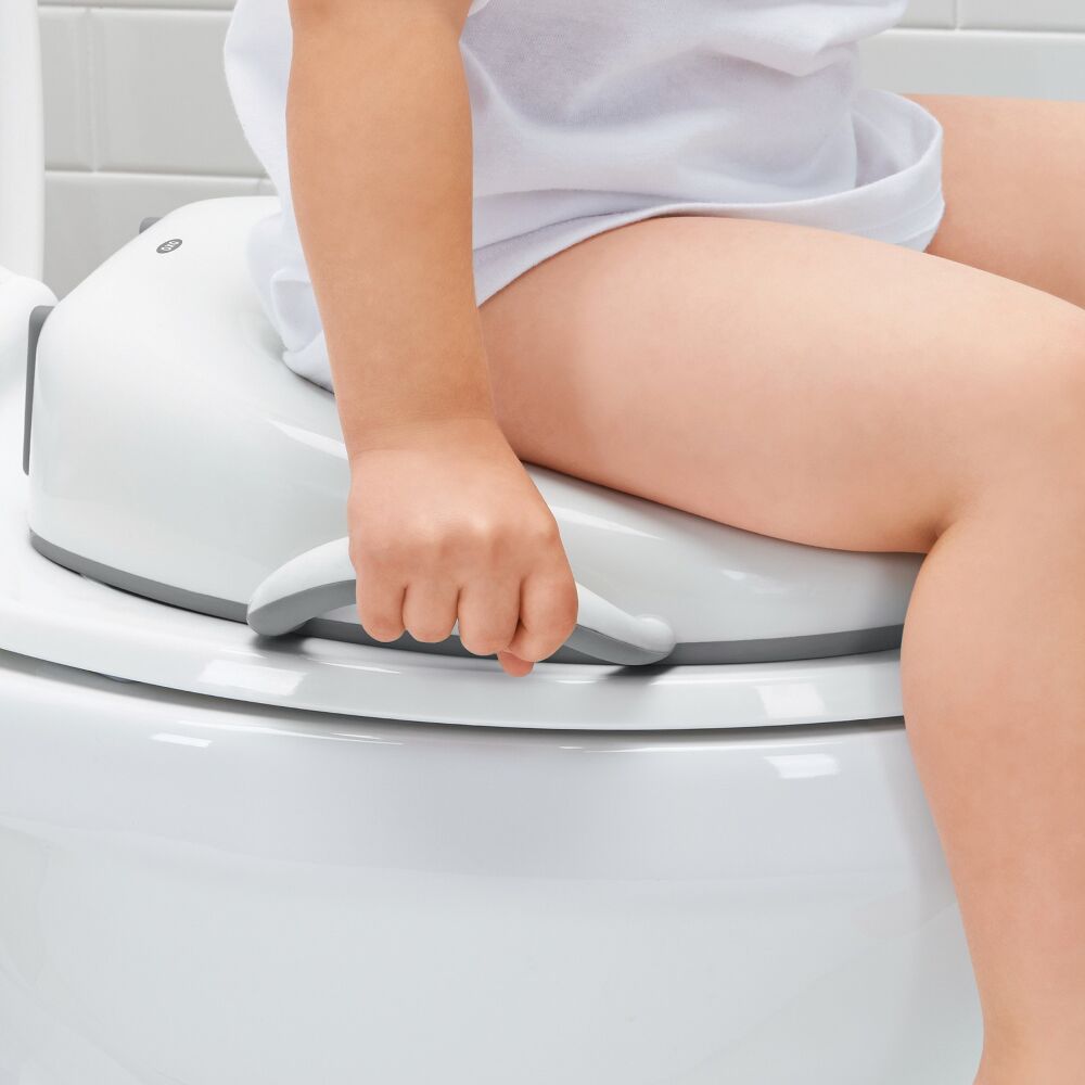 Sit Right Potty Seat - Gray M8
