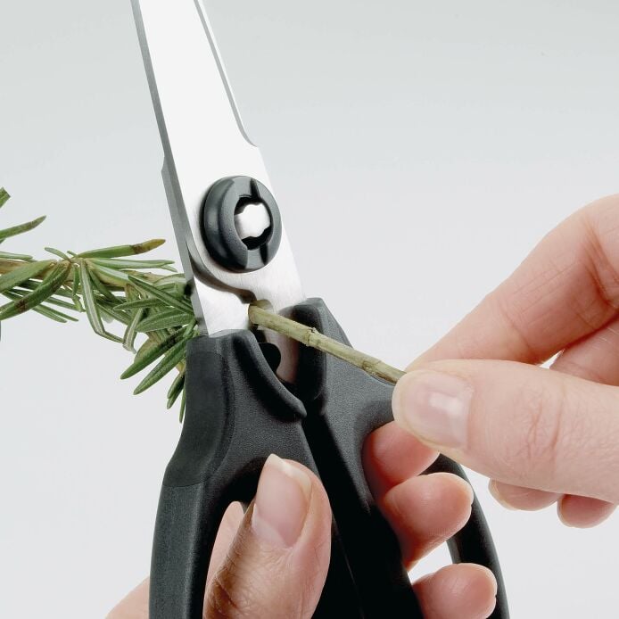Kitchen And Herb Scissors O3