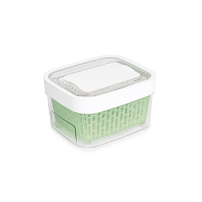 GreenSaver Produce Keeper (1.6 Qt) F0