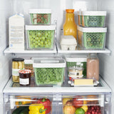 GreenSaver Produce Keeper (4.3 Qt) H5