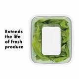 GreenSaver Produce Keeper (4.3 Qt) K9