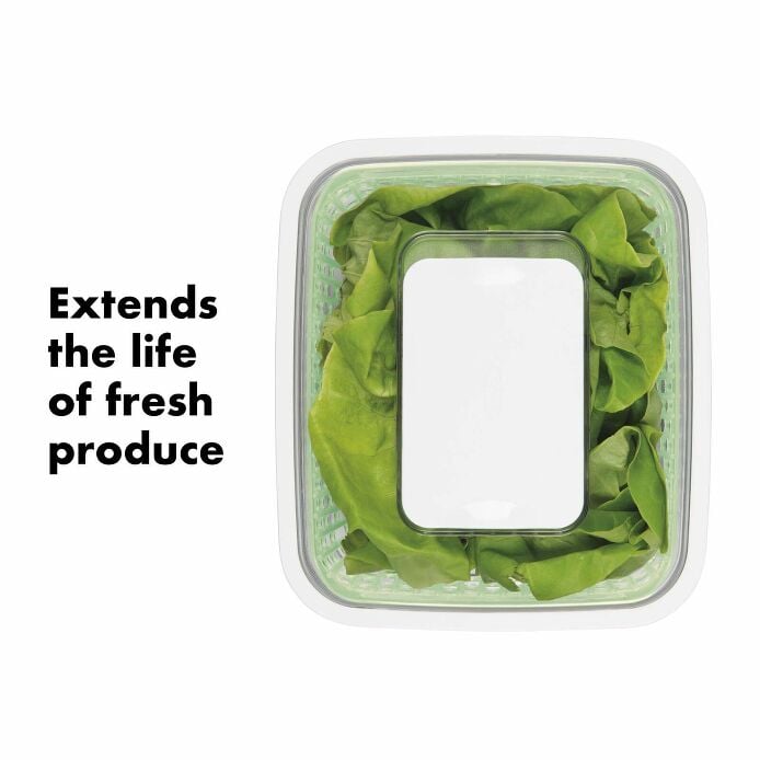GreenSaver Produce Keeper (4.3 Qt) K9