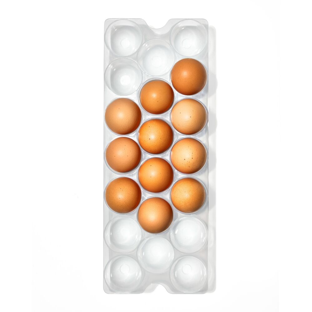 Refrigerator Egg Bin With Removable Tray F8