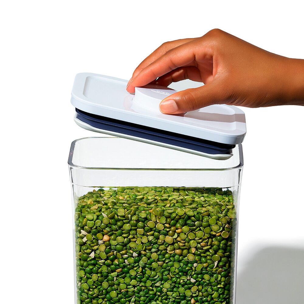 POP Container - Rectangle Medium (2.7 Qt/2.6 L) N9
